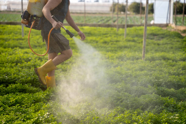 Best Insect Control  in Bladensburg, MD