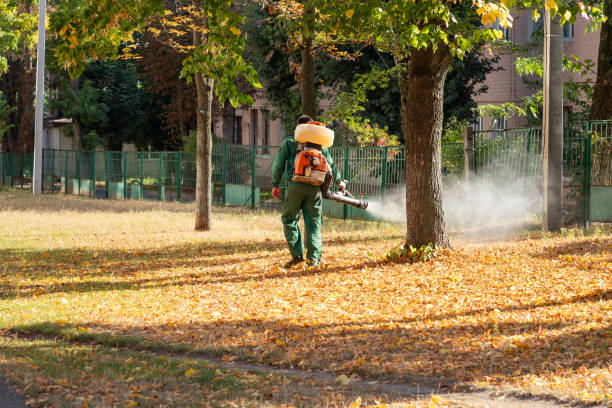 Best Pest Control Treatment  in Bladensburg, MD