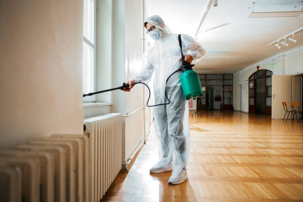 Best Flea Control Services  in Bladensburg, MD