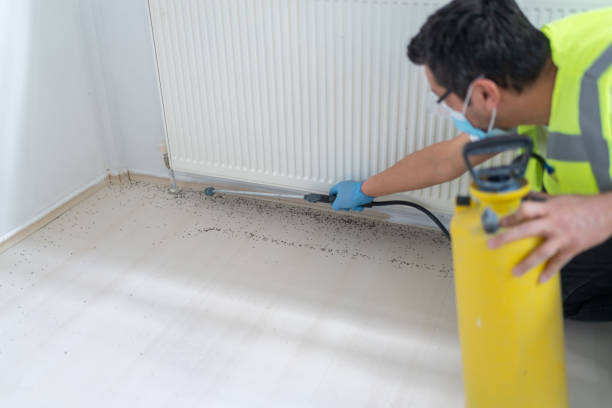 Best Best Pest Control Companies  in Bladensburg, MD