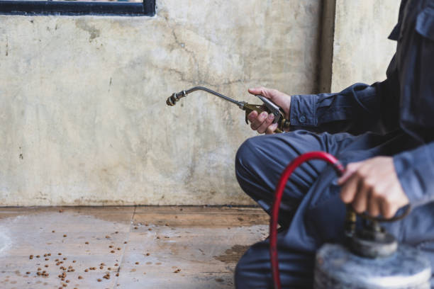 Best Exterminator Services  in Bladensburg, MD