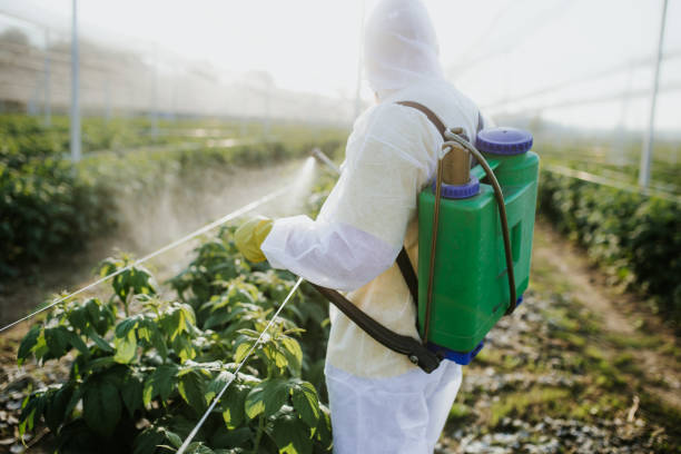 Best Local Pest Control Services  in Bladensburg, MD